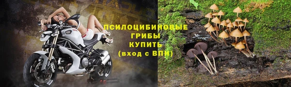 прущий лед Абаза