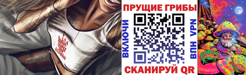 OMG   Почеп  Псилоцибиновые грибы Cubensis  купить закладку 